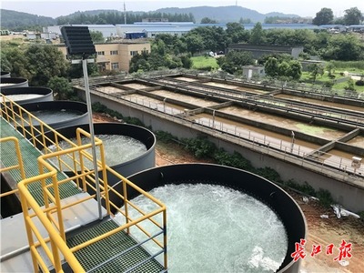 九峰明渠臨時污水處理設(shè)施高效運行，顯著削減入東湖污水量